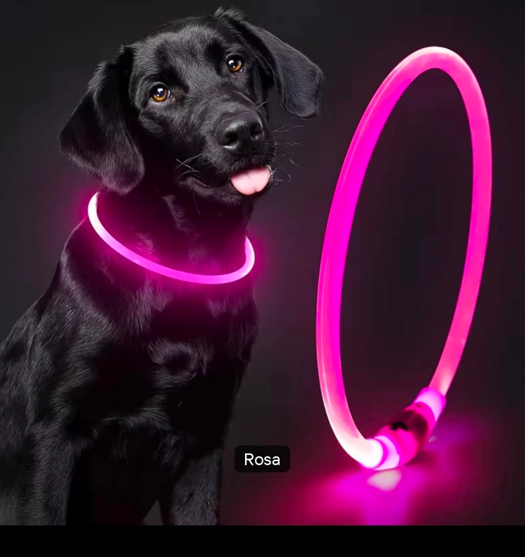 LED Hundehalsband – Leuchtendes Hundehalsband mit USB-Aufladung