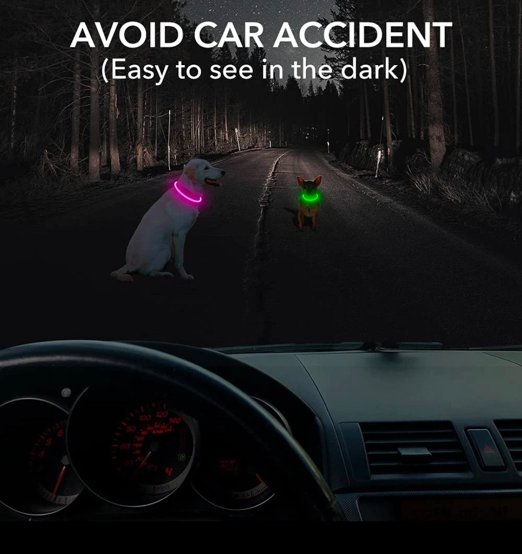LED Hundehalsband – Leuchtendes Hundehalsband mit USB-Aufladung
