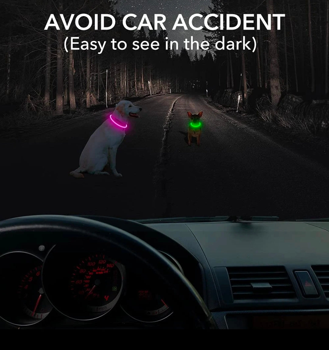 LED Hundehalsband – Leuchtendes Hundehalsband mit USB-Aufladung