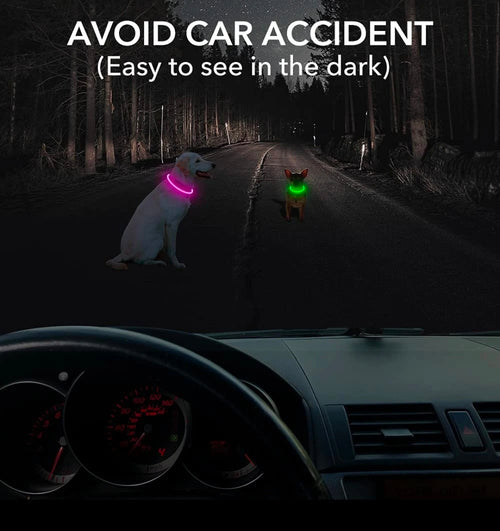LED Hundehalsband – Leuchtendes Hundehalsband mit USB-Aufladung