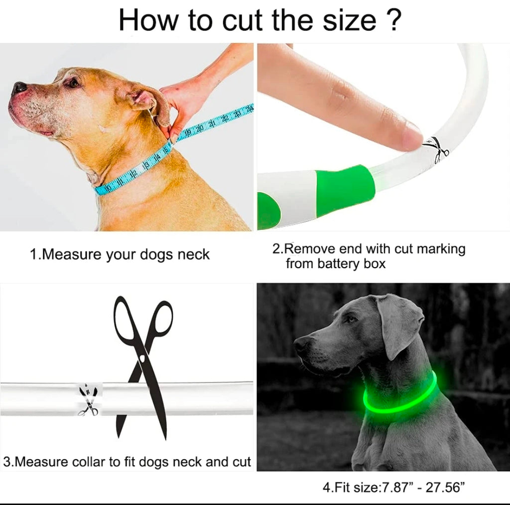 LED Hundehalsband – Leuchtendes Hundehalsband mit USB-Aufladung