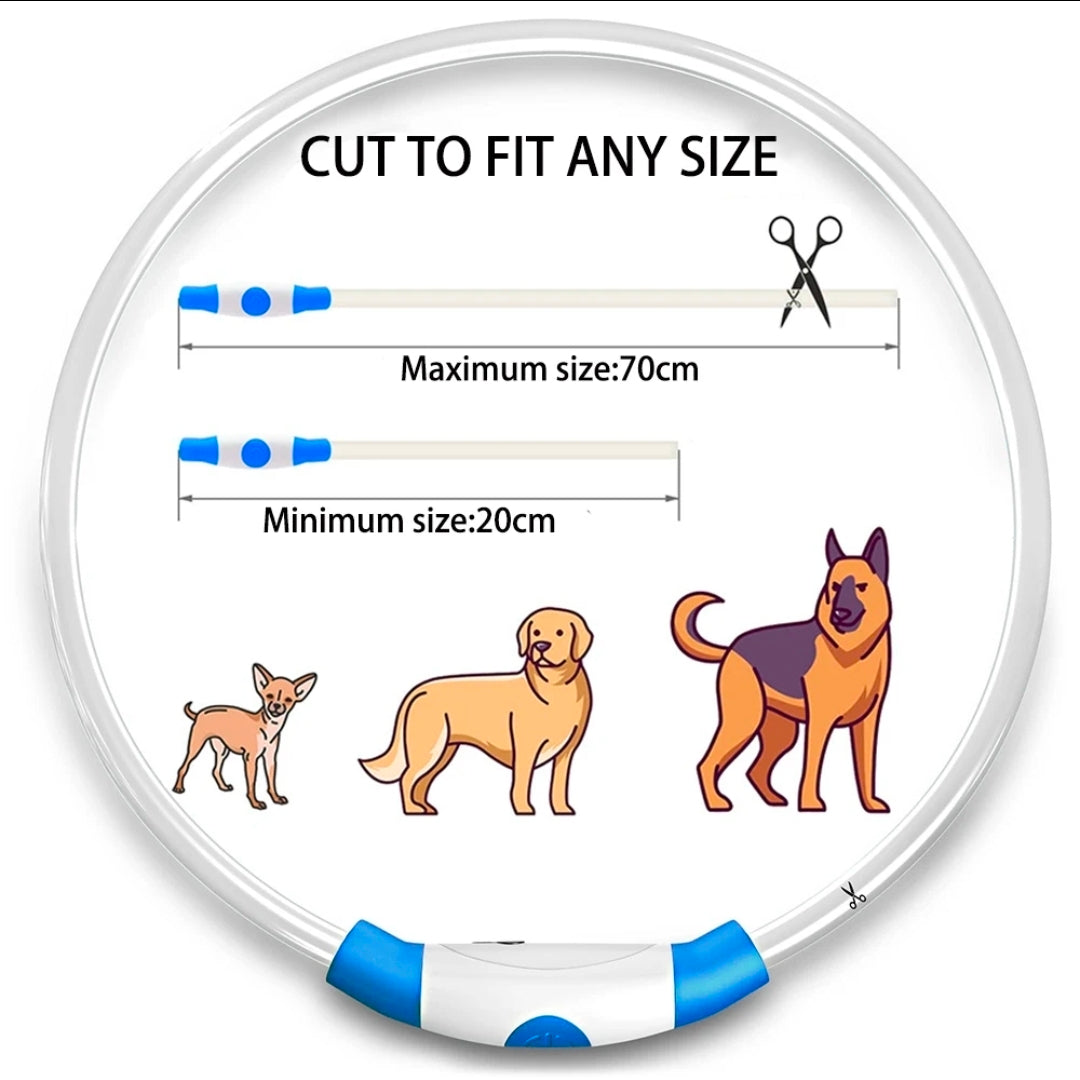 LED Hundehalsband – Leuchtendes Hundehalsband mit USB-Aufladung