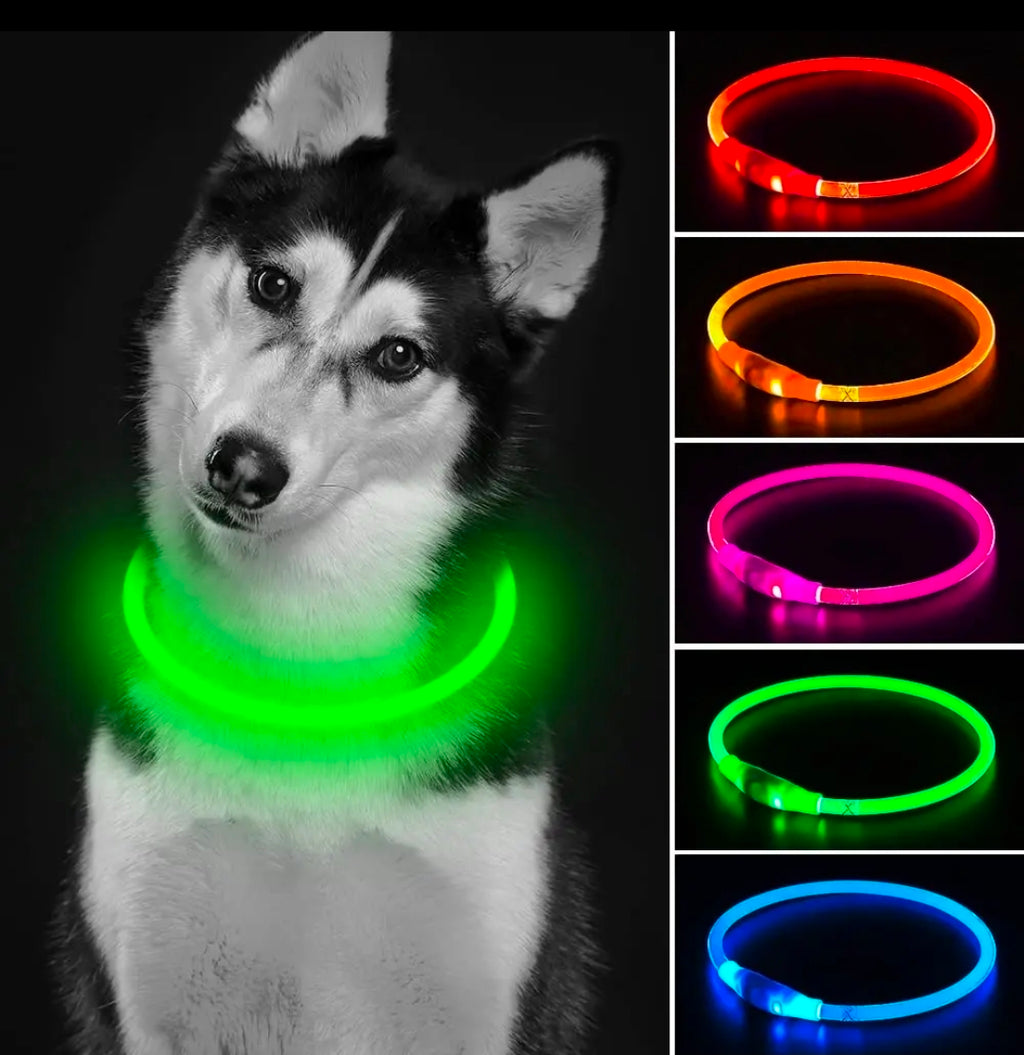 LED Hundehalsband – Leuchtendes Hundehalsband mit USB-Aufladung