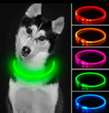 LED Hundehalsband – Leuchtendes Hundehalsband mit USB-Aufladung