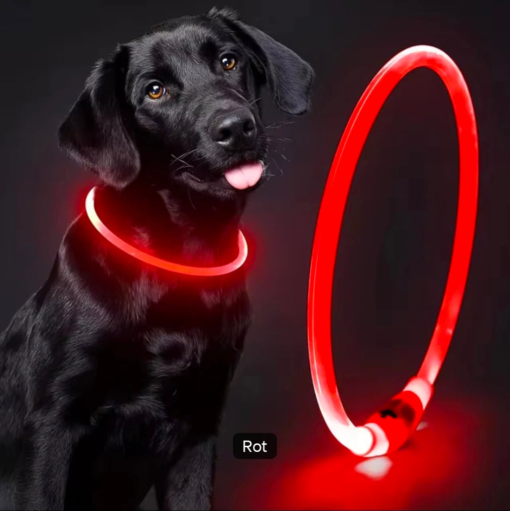 LED Hundehalsband – Leuchtendes Hundehalsband mit USB-Aufladung