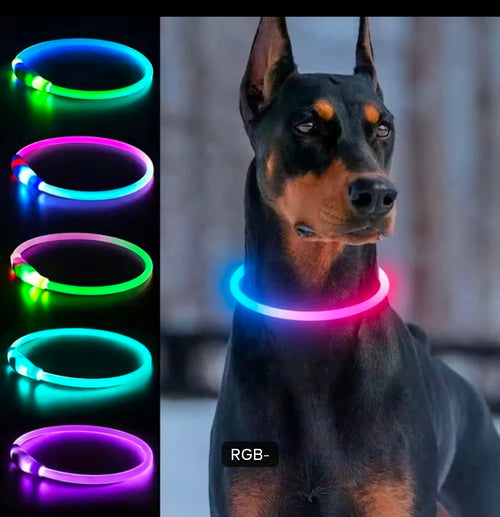 LED Hundehalsband – Leuchtendes Hundehalsband mit USB-Aufladung