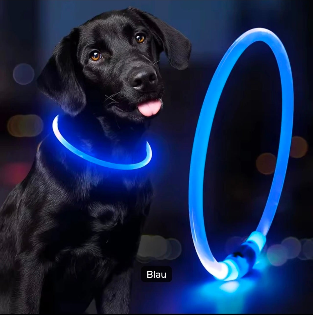 LED Hundehalsband – Leuchtendes Hundehalsband mit USB-Aufladung