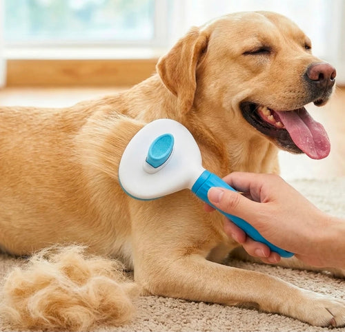 Selbstreinigende Tierhaarbürste für Hunde und Katzen