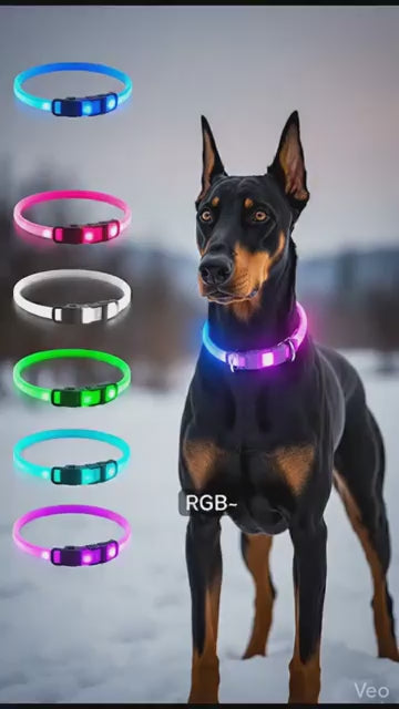 LED Hundehalsband – Leuchtendes Hundehalsband mit USB-Aufladung